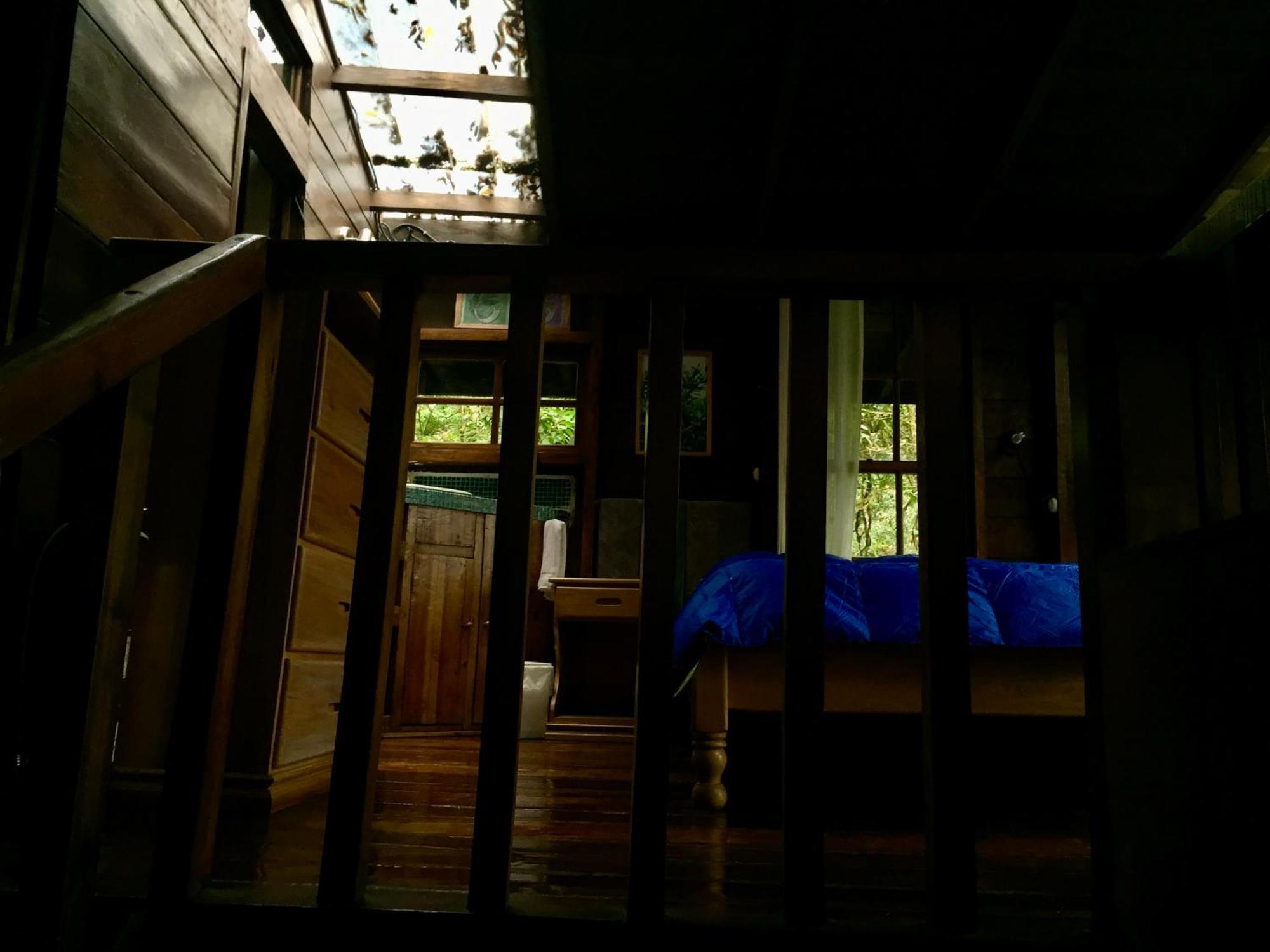 Los Quetzales Ecolodge & Spa Серро-Пунта Экстерьер фото